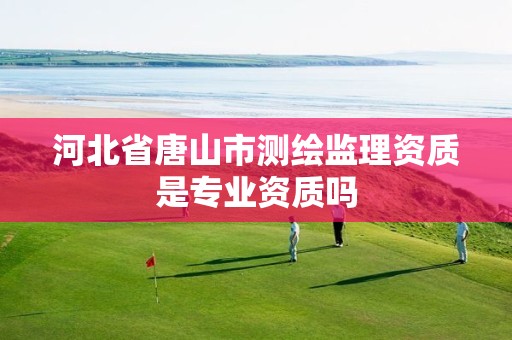 河北省唐山市测绘监理资质是专业资质吗