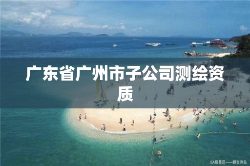 广东省广州市子公司测绘资质