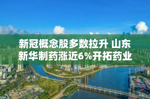 新冠概念股多数拉升 山东新华制药涨近6%开拓药业-B涨超4%