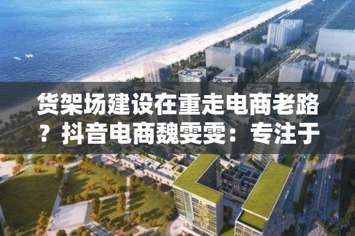 货架场建设在重走电商老路？抖音电商魏雯雯：专注于自己的业务模式发展