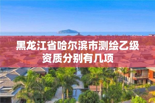 黑龙江省哈尔滨市测绘乙级资质分别有几项