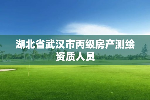 湖北省武汉市丙级房产测绘资质人员