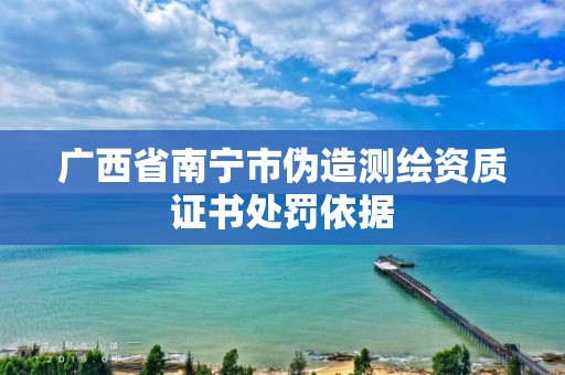 广西省南宁市伪造测绘资质证书处罚依据