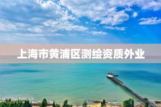 上海市黄浦区测绘资质外业