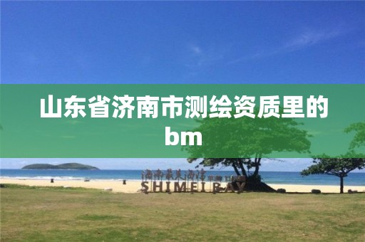 山东省济南市测绘资质里的bm