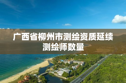 广西省柳州市测绘资质延续测绘师数量