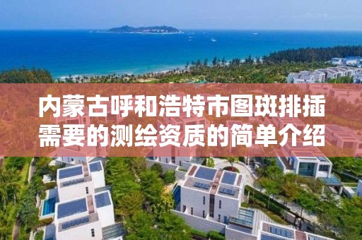 内蒙古呼和浩特市图斑排插需要的测绘资质的简单介绍