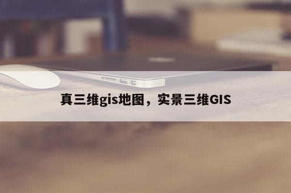 真三维gis地图，实景三维GIS