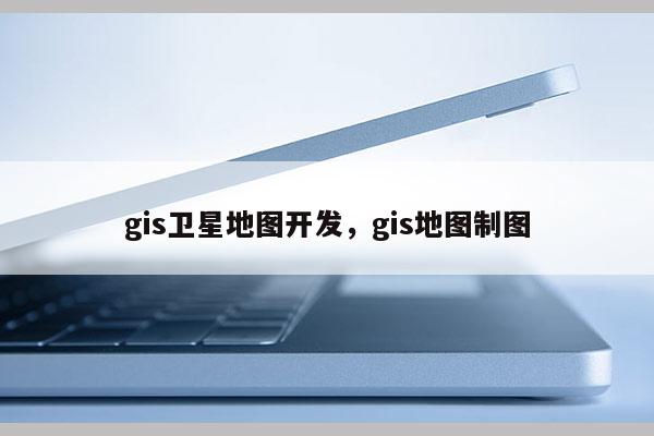 gis卫星地图开发，gis地图制图