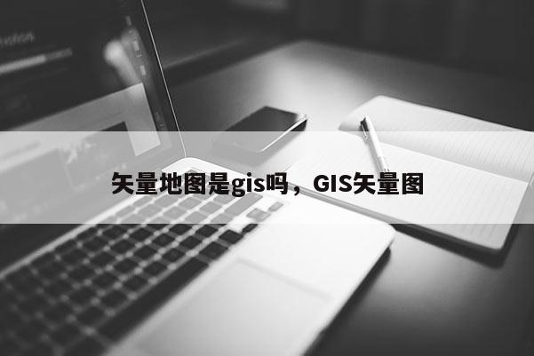 矢量地图是gis吗，GIS矢量图