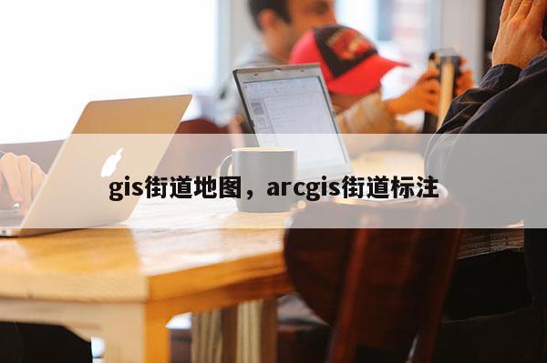 gis街道地图，arcgis街道标注