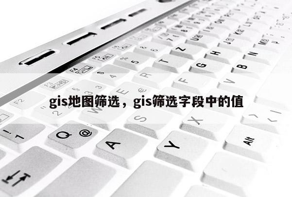 gis地图筛选，gis筛选字段中的值