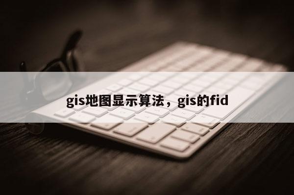 gis地图显示算法，gis的fid