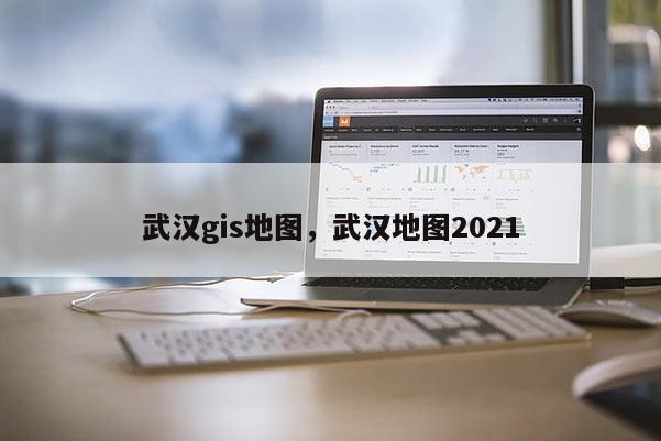 武汉gis地图，武汉地图2021