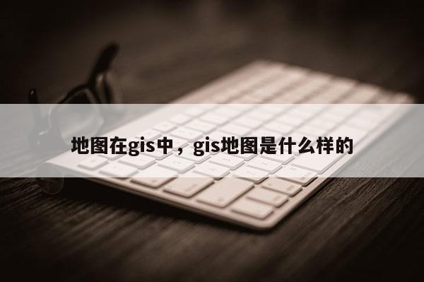 地图在gis中，gis地图是什么样的